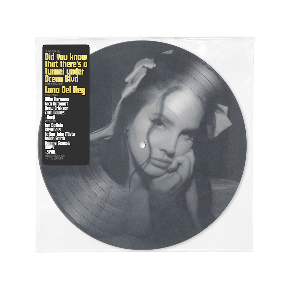 DID YOU KNOW THAT THERE’S A TUNNEL UNDER OCEAN BLVD DOUBLE VINYLE PICTURE DISC EXCLUSIF